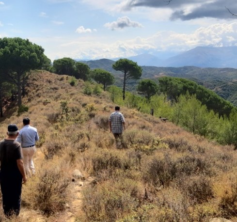 Landscape, the Hills of Mallakastra and the Lumara Lakes