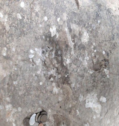 The Holy Trace — Gjurma e Shenjte